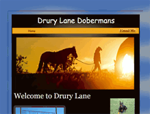 Tablet Screenshot of drurylanedobes.com